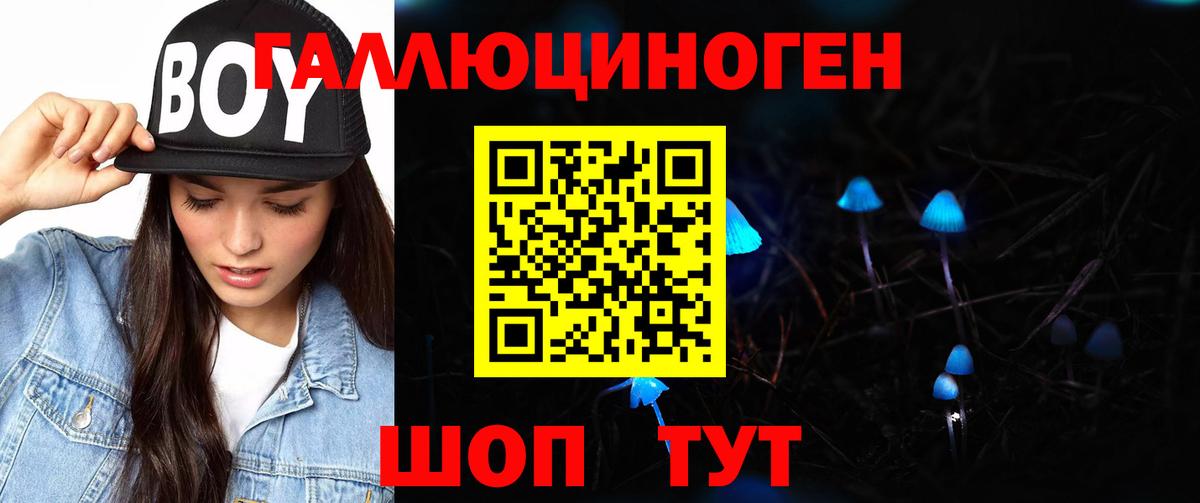 Галлюциногенные грибы GOLDEN TEACHER Воскресенск